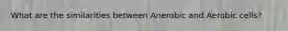 What are the similarities between Anerobic and Aerobic cells?
