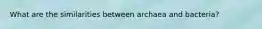 What are the similarities between archaea and bacteria?