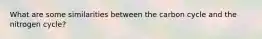 What are some similarities between the carbon cycle and the nitrogen cycle?