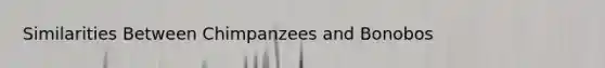 Similarities Between Chimpanzees and Bonobos