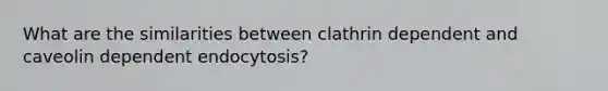 What are the similarities between clathrin dependent and caveolin dependent endocytosis?