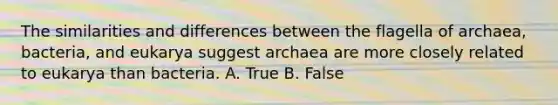 The similarities and differences between the flagella of archaea, bacteria, and eukarya suggest archaea are more closely related to eukarya than bacteria. A. True B. False