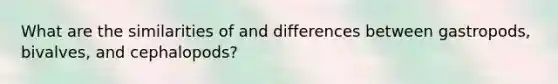 What are the similarities of and differences between gastropods, bivalves, and cephalopods?