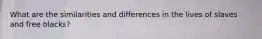 What are the similarities and differences in the lives of slaves and free blacks?