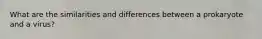 What are the similarities and differences between a prokaryote and a virus?