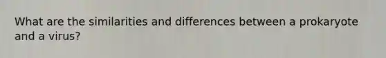 What are the similarities and differences between a prokaryote and a virus?