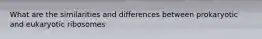What are the similarities and differences between prokaryotic and eukaryotic ribosomes