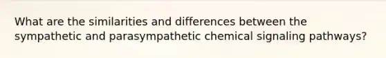 What are the similarities and differences between the sympathetic and parasympathetic chemical signaling pathways?