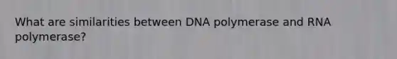 What are similarities between DNA polymerase and RNA polymerase?