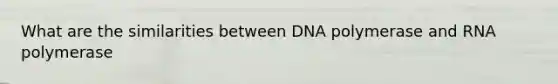 What are the similarities between DNA polymerase and RNA polymerase