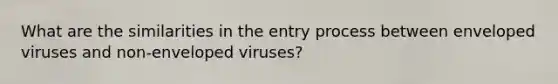 What are the similarities in the entry process between enveloped viruses and non-enveloped viruses?