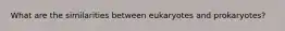 What are the similarities between eukaryotes and prokaryotes?