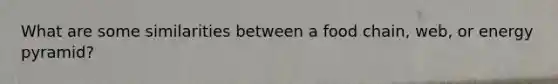 What are some similarities between a food chain, web, or energy pyramid?