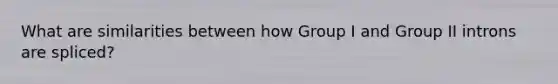 What are similarities between how Group I and Group II introns are spliced?