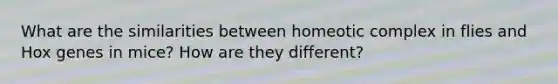 What are the similarities between homeotic complex in flies and Hox genes in mice? How are they different?