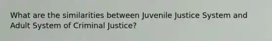 What are the similarities between Juvenile Justice System and Adult System of Criminal Justice?