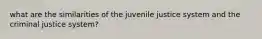 what are the similarities of the juvenile justice system and the criminal justice system?