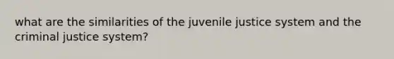 what are the similarities of the juvenile justice system and the criminal justice system?