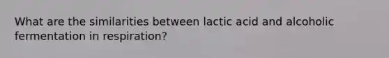 What are the similarities between lactic acid and alcoholic fermentation in respiration?