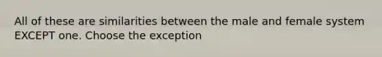 All of these are similarities between the male and female system EXCEPT one. Choose the exception