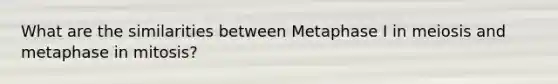 What are the similarities between Metaphase I in meiosis and metaphase in mitosis?