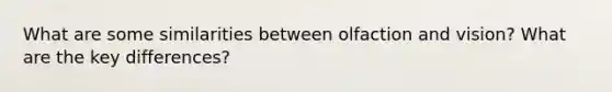 What are some similarities between olfaction and vision? What are the key differences?