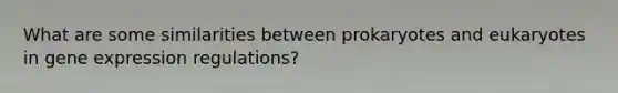 What are some similarities between prokaryotes and eukaryotes in gene expression regulations?