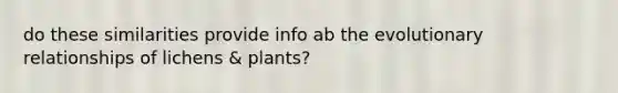 do these similarities provide info ab the evolutionary relationships of lichens & plants?