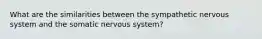 What are the similarities between the sympathetic nervous system and the somatic nervous system?