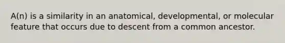 A(n) is a similarity in an anatomical, developmental, or molecular feature that occurs due to descent from a common ancestor.