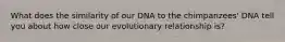 What does the similarity of our DNA to the chimpanzees' DNA tell you about how close our evolutionary relationship is?