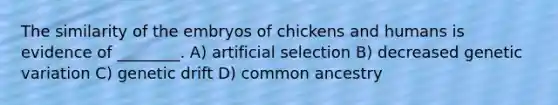 The similarity of the embryos of chickens and humans is evidence of ________. A) artificial selection B) decreased genetic variation C) genetic drift D) common ancestry