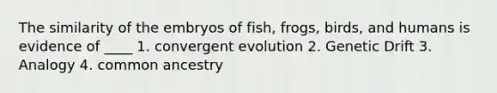 The similarity of the embryos of fish, frogs, birds, and humans is evidence of ____ 1. convergent evolution 2. Genetic Drift 3. Analogy 4. common ancestry