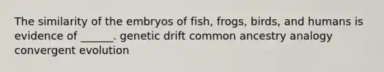 The similarity of the embryos of fish, frogs, birds, and humans is evidence of ______. genetic drift common ancestry analogy convergent evolution