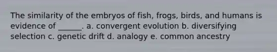 The similarity of the embryos of fish, frogs, birds, and humans is evidence of ______. a. convergent evolution b. diversifying selection c. genetic drift d. analogy e. common ancestry