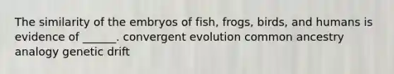 The similarity of the embryos of fish, frogs, birds, and humans is evidence of ______. convergent evolution common ancestry analogy genetic drift