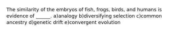 The similarity of the embryos of fish, frogs, birds, and humans is evidence of ______. a)analogy b)diversifying selection c)common ancestry d)genetic drift e)convergent evolution