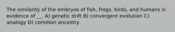 The similarity of the embryos of fish, frogs, birds, and humans is evidence of __. A) genetic drift B) convergent evolution C) analogy D) common ancestry