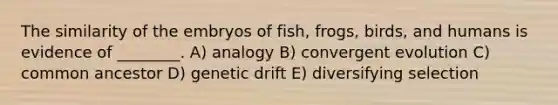 The similarity of the embryos of fish, frogs, birds, and humans is evidence of ________. A) analogy B) convergent evolution C) common ancestor D) genetic drift E) diversifying selection