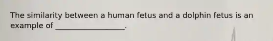 The similarity between a human fetus and a dolphin fetus is an example of __________________.