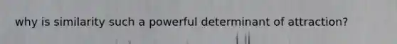 why is similarity such a powerful determinant of attraction?