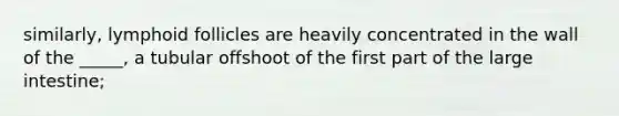 similarly, lymphoid follicles are heavily concentrated in the wall of the _____, a tubular offshoot of the first part of the large intestine;