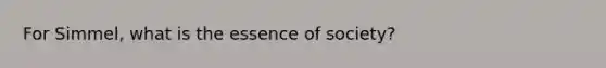 For Simmel, what is the essence of society?