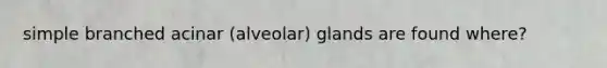 simple branched acinar (alveolar) glands are found where?