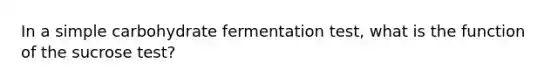 In a simple carbohydrate fermentation test, what is the function of the sucrose test?