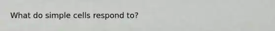 What do simple cells respond to?