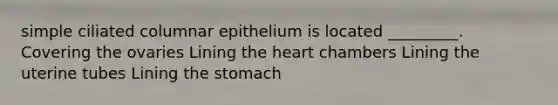 simple ciliated columnar epithelium is located _________. Covering the ovaries Lining <a href='https://www.questionai.com/knowledge/kya8ocqc6o-the-heart' class='anchor-knowledge'>the heart</a> chambers Lining the uterine tubes Lining <a href='https://www.questionai.com/knowledge/kLccSGjkt8-the-stomach' class='anchor-knowledge'>the stomach</a>