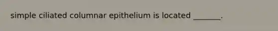 simple ciliated columnar epithelium is located _______.