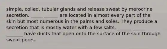 simple, coiled, tubular glands and release sweat by merocrine secretion. _____ ______ are located in almost every part of the skin but most numerous in the palms and soles. They produce a secretion that is mostly water with a few salts. ______ _____ _______ have ducts that open onto the surface of the skin through sweat pores.