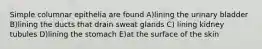 Simple columnar epithelia are found A)lining the urinary bladder B)lining the ducts that drain sweat glands C) lining kidney tubules D)lining the stomach E)at the surface of the skin